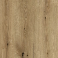 Dąb Evoke — K365 PW