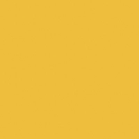 Żółty — 0134 BS